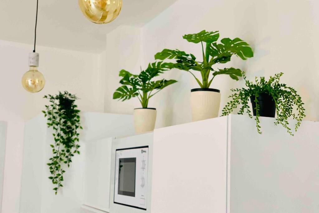 Roof Top Luxury City Center Apartment By Namaste Elite Torremolinos Eksteriør bilde